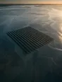Dawn aerial photograph: oyster racks in neat rows across a wide tide flat at dawn.