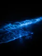 Dark elemental photograph: bioluminescent surf glowing electric blue on black sand at night, the newest wash rendering as small glowing marks.