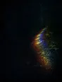 Refracted-light photograph: a forest path forking in the dark, refracted light marking one of the two ways.