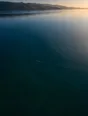 Dawn aerial photograph: a lone swimmer's wake crossing a glass-still bay at sunrise.