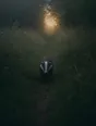 Dark green cinematic photograph: a badger walking a narrow worn path through tall misty meadow grass, pale gold light at the far end.
