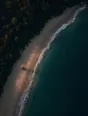 Dawn aerial photograph: an empty curving beach at dawn with one lifeguard hut, seen from above.