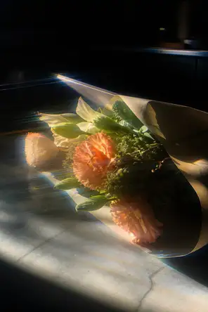 Prism-light photograph: Cut flowers still wrapped in their paper on a kitchen counter, hard sun driving through the petals and leaves.