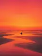Grainy gradient illustration: Low tide on a wide flat beach before sunrise, the sea drawn far out, winding tidal channels in the smooth wet sand mirroring the amber and rose of the sky, the sun still below the horizon.