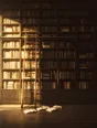 Struck-light photograph: a double-height library wall with a rolling ladder standing mid-run and books left open on the floor at its foot