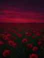 Film photograph: a field of red poppies stretching to the horizon under a deep plum dusk sky.