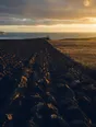 Dark cinematic photograph: A long field only half ploughed, the tractor away at the far end, hard low sun raking the turned earth.