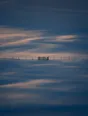 Dawn aerial photograph: a wooden gate in a fence line crossing untouched snow at dawn.