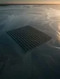 Dawn aerial photograph: oyster racks in neat rows across a wide tide flat at dawn.