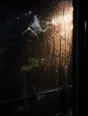 Prism-light photograph: Heavy rain running down a window pane with hard sun breaking through the drops from outside.