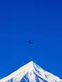 Grainy gradient illustration: A cloudless deep azure morning sky over one white mountain peak, the air completely clear.