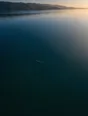 Dawn aerial photograph: a lone swimmer's wake crossing a glass-still bay at sunrise.