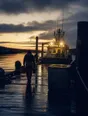 Dark cinematic photograph: One person walking out along a wet jetty toward a boat with its lights already on, dawn.