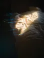 Prism-light photograph: An unmade bed at dawn, hard sun striking the crumpled white linen with the rest of the room fallen to black.