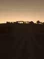 Struck-light photograph: a hillside of vine rows in flat silhouette at dusk with one low lit house along the ridge