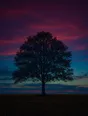 Film photograph: one tree standing alone and complete in an open field against a plum and teal dusk sky.