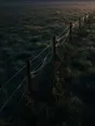 Dawn aerial photograph: a wire fence line strung with dew-beaded spiderwebs across a silver meadow.