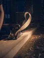 Motion photograph: a hand plane driving down a long board in a workshop, one continuous shaving curling up off the blade