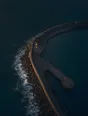 Dawn aerial photograph: waves breaking on a stone breakwater while the harbor inside lies glass-still, one lit window on the quay.