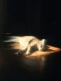 Prism-light photograph: A cat stretched out asleep in a hard rectangle of sun on bare floorboards, the light combing its fur.