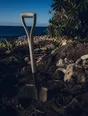 Dark cinematic photograph: A spade handle polished pale by years of use, standing where it was pushed into the soil mid-job, hard morning light.
