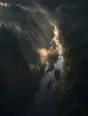 Dawn aerial photograph: rays of first sunlight slanting through misty trees onto a stream.