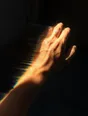 Prism-light photograph: Hard sun raking across the tendons and veins on the back of a hand and forearm.