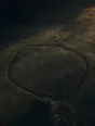 Dawn aerial photograph: a worn loop path traced dark in dew-silver meadow grass.