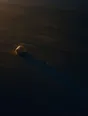 Dawn aerial photograph: one small round haystack at low sun casting an enormous shadow across the field.