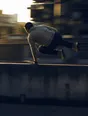 Motion photograph: a man mid-vault over a low wall on a run through a city at dawn, panned so he holds his shape while the street pulls sideways