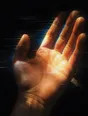 Prism-light photograph: A hand opening flat, palm up, in hard sun with the lines and grain of the skin lit.