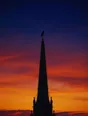 Film photograph: a hawk perched at the tip of the tallest dark spire against an indigo and gold dusk.