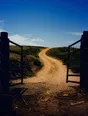 Dark cinematic photograph: An open gate standing wide onto a bright track running away over a rise.