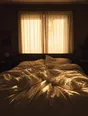 Struck-light photograph: a bedroom at first light with the curtains glowing and the bed slept in and empty