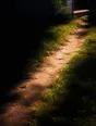 Prism-light photograph: A path worn across a lawn where the paving does not go, hard sun raking the bare earth and grass.
